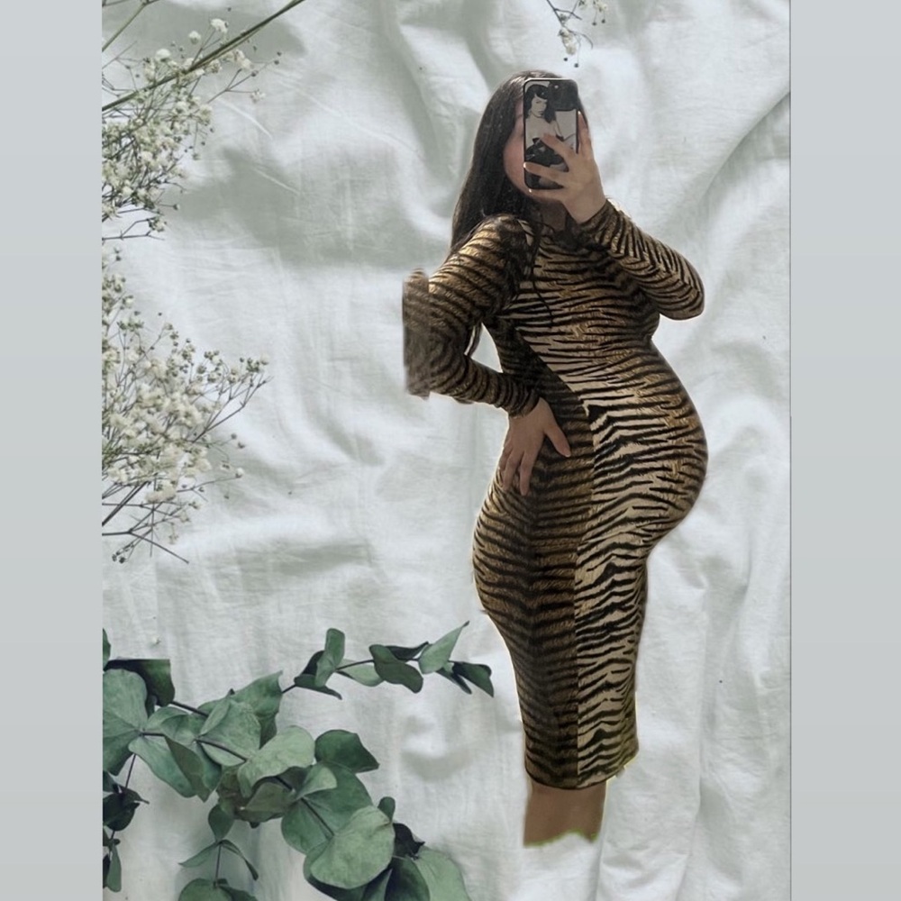 Oblong Box Shop Roxanne Tiger dress